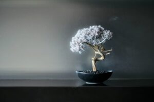 Park Hotel Tokyo Installs “WITHERS TAIZAN BONSAI,” a Recycled Art Piece Redefining the Traditional Bonsai Tree